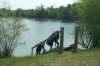 Sept 2004 45